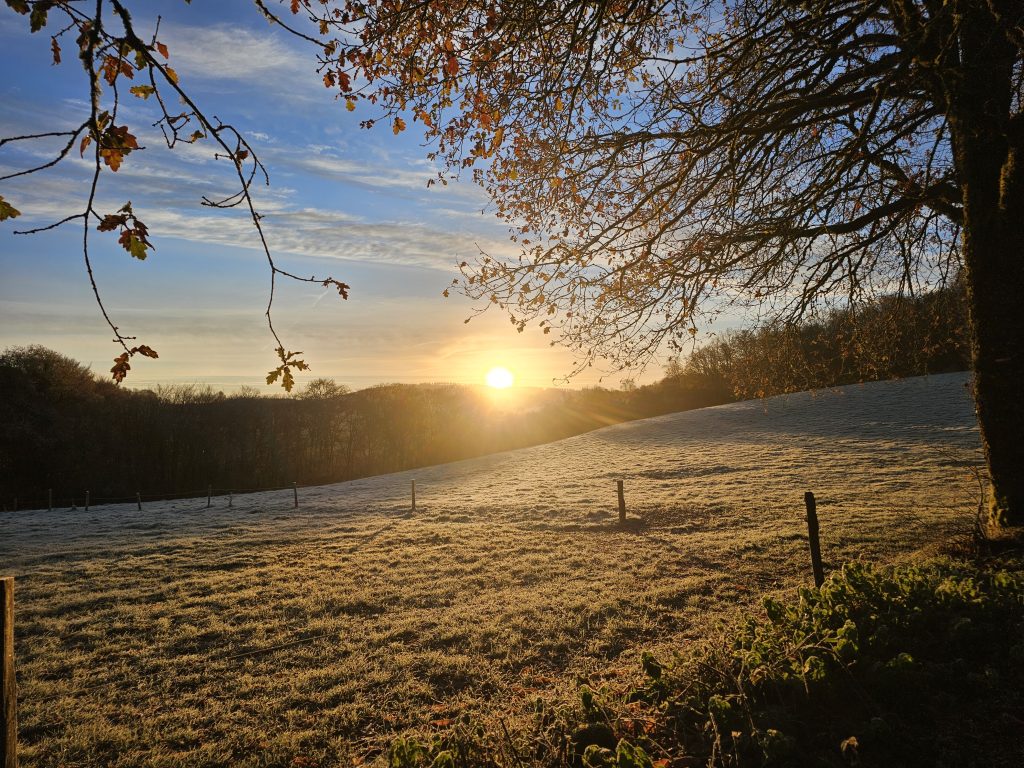20251201 083519