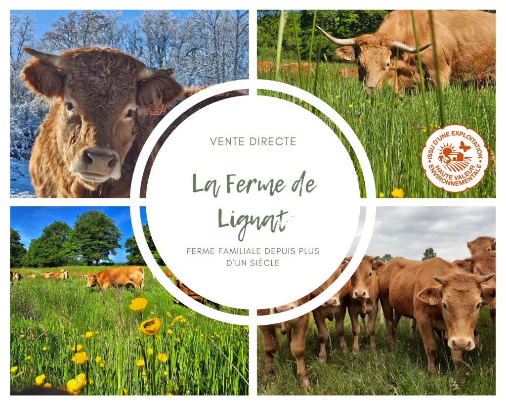 la ferme de lignat (3)